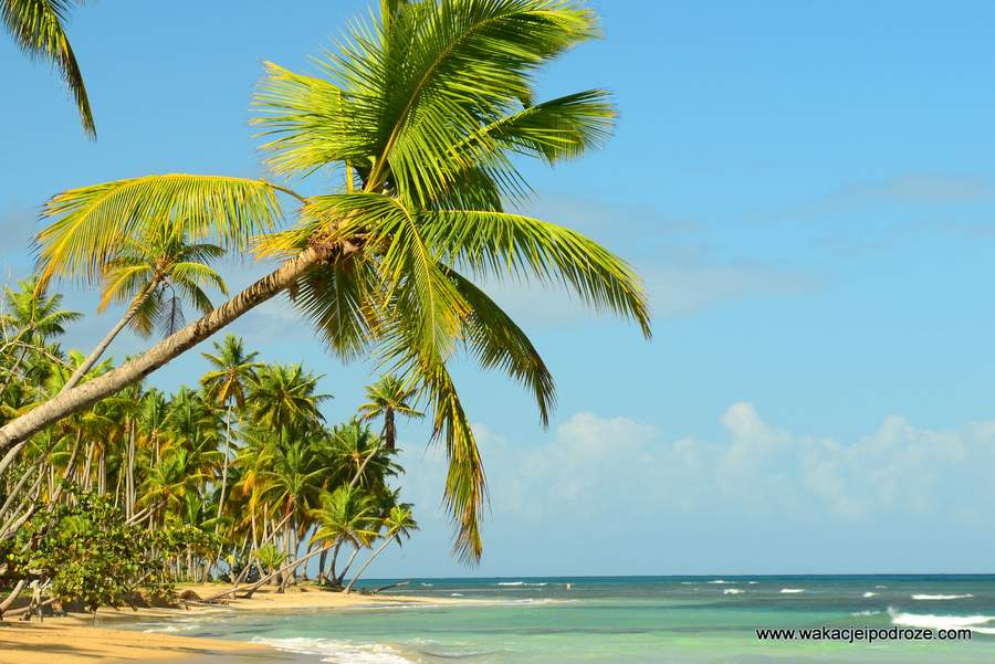 Wakacje na Dominikanie - tropikalne plaże