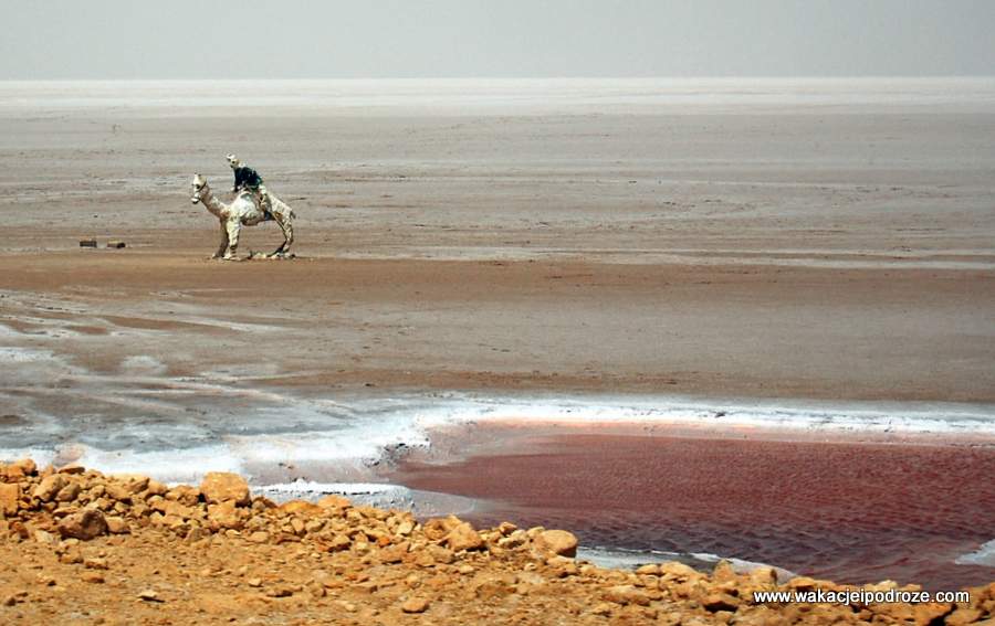 Słone jezioro - Tunezja