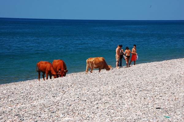 Plaże w okolicach Batumi i Gonio