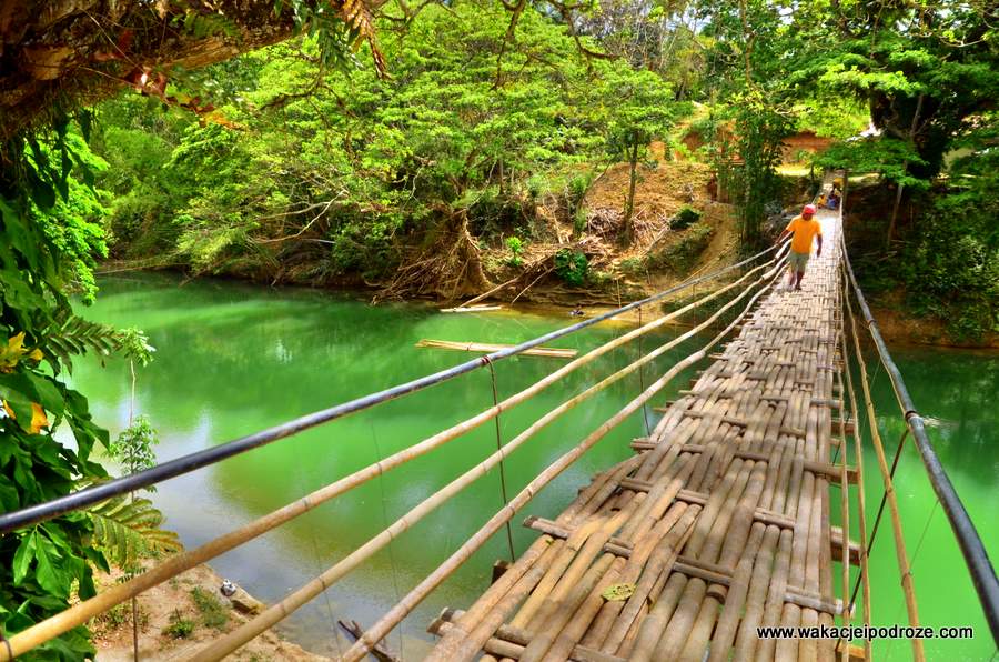 Co warto zobaczyć na Boholu - wiszący most